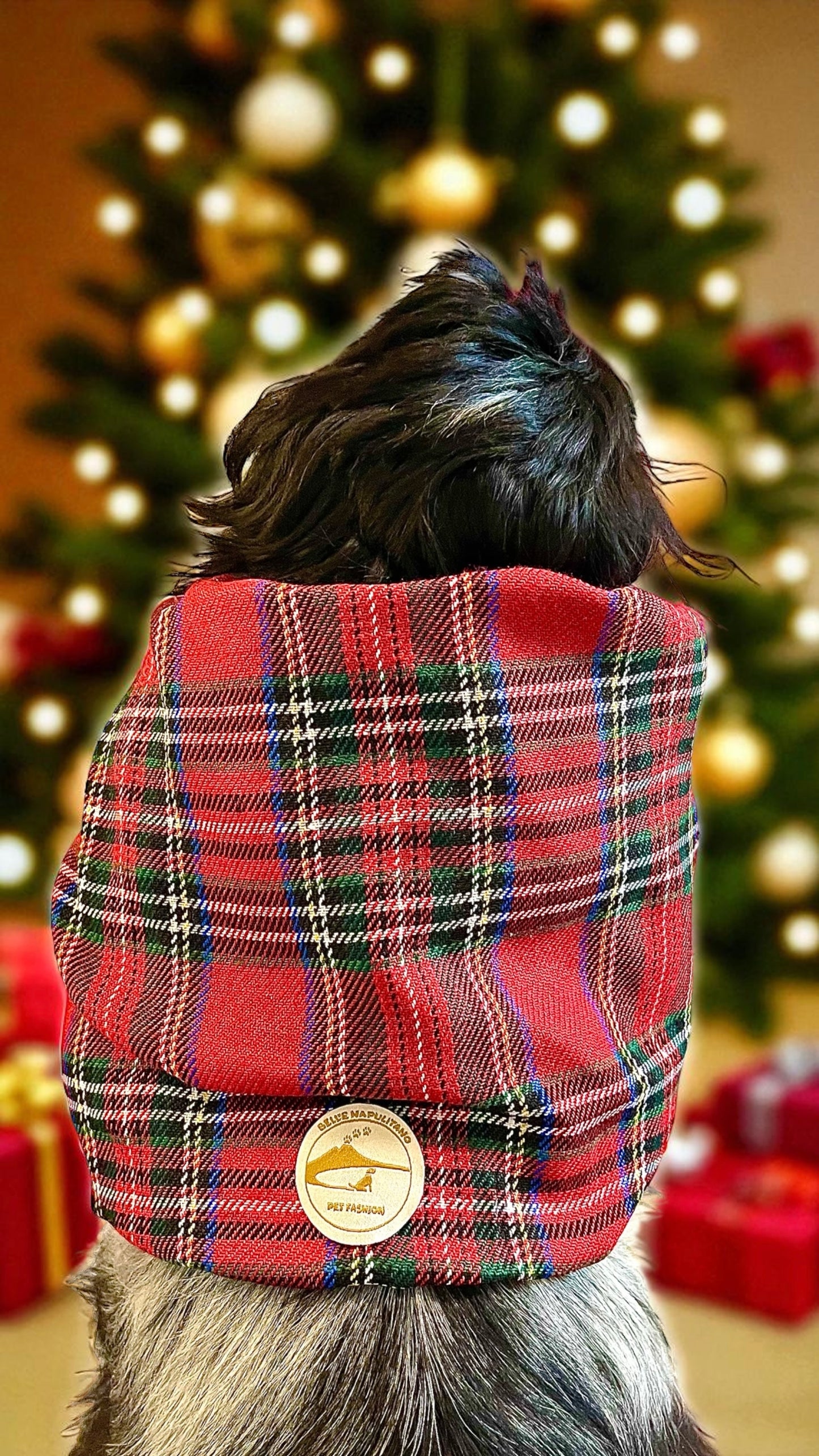 Snood natalizio sartoriale per cani in tessuto Tartan rosso per cocker