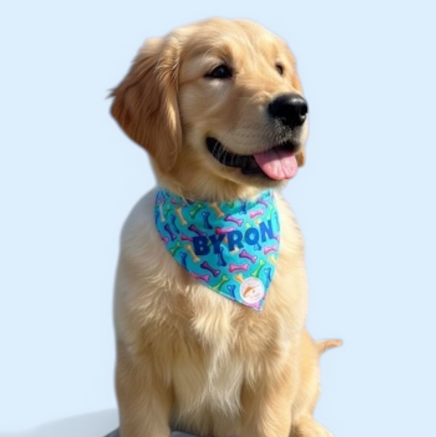 Bandana Cane Azzurra con Collare e Fantasia Ossi Multicolor Personalizzabile