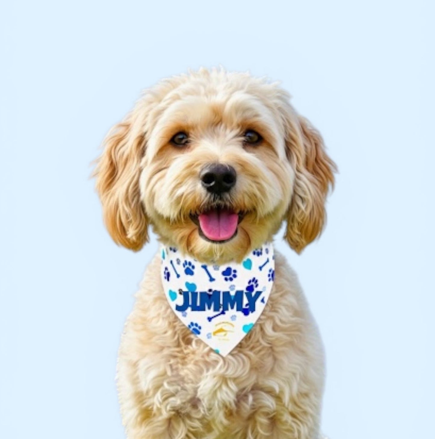 Bandana cane bianca con collare con fantasia di ossi, cuori e zampette blu.