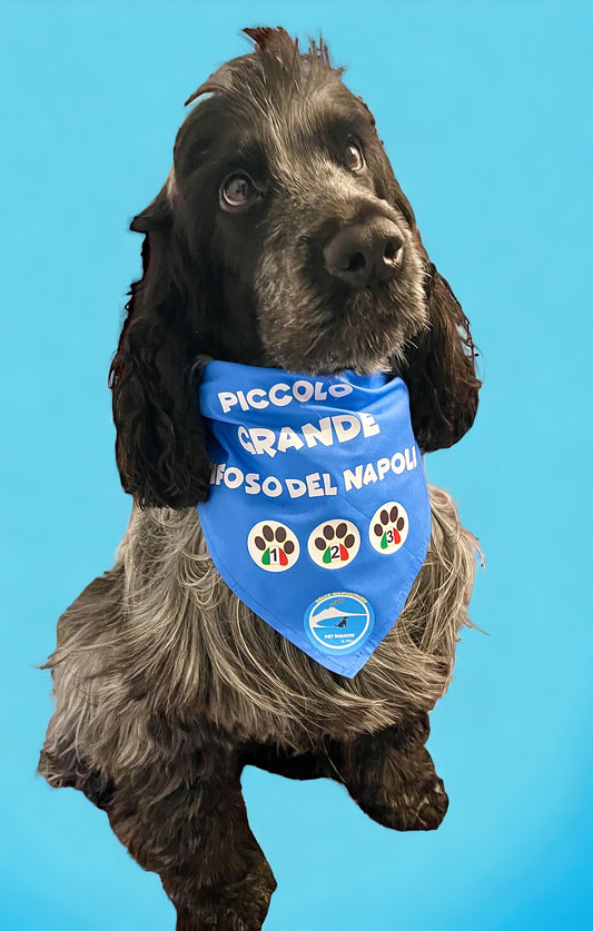 Bandane per Cani “Piccolo Grande Tifoso del Napoli” - 100% Cotone
