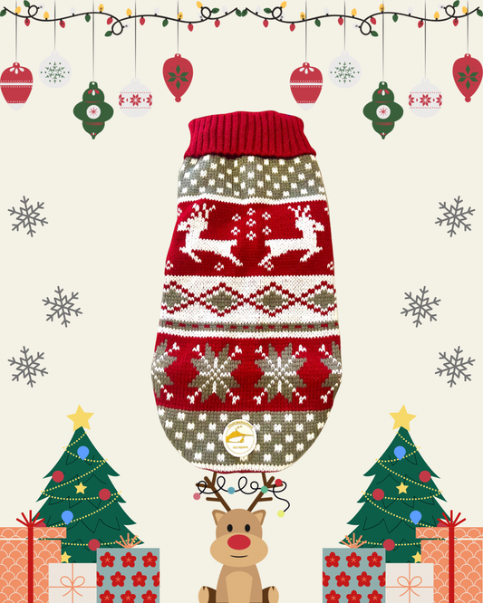 Maglioncino Natalizio per cani di piccola taglia