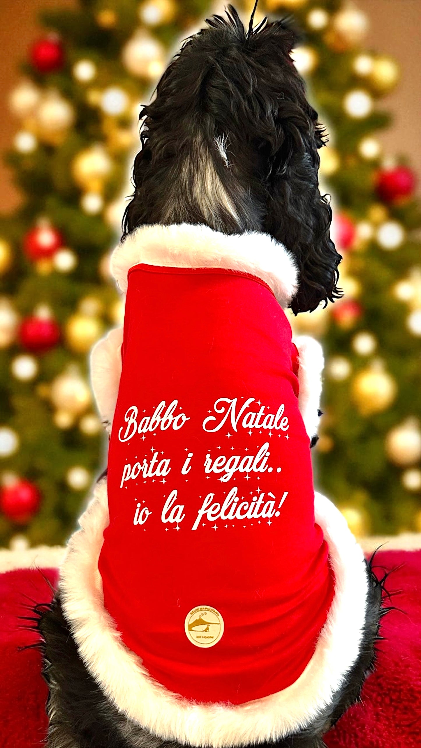 Maglia Natalizia stile Babbo Natale con scritta stampata: “ Babbo Natale porta i regali io.. la felicità!”