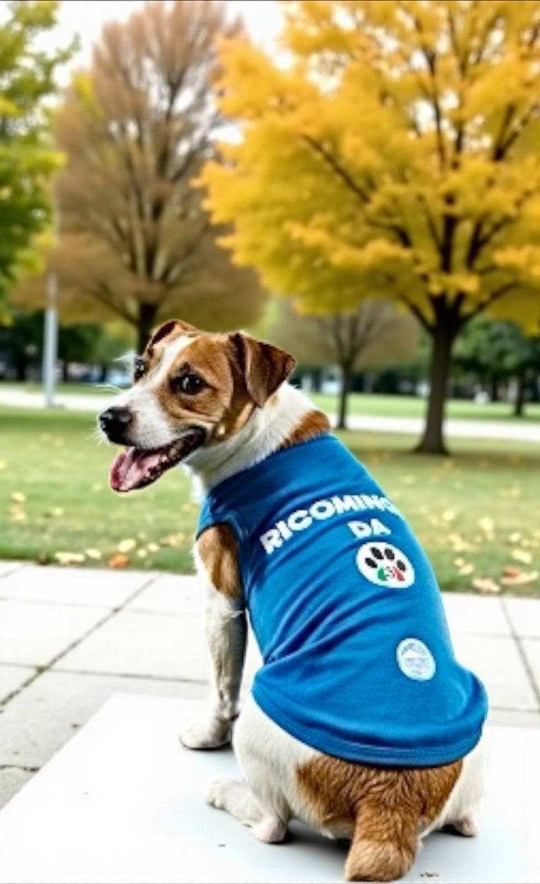 Magliette Cane Morbidissime "Ricomincio da 3" - Abbigliamento Tifoso Napoli
