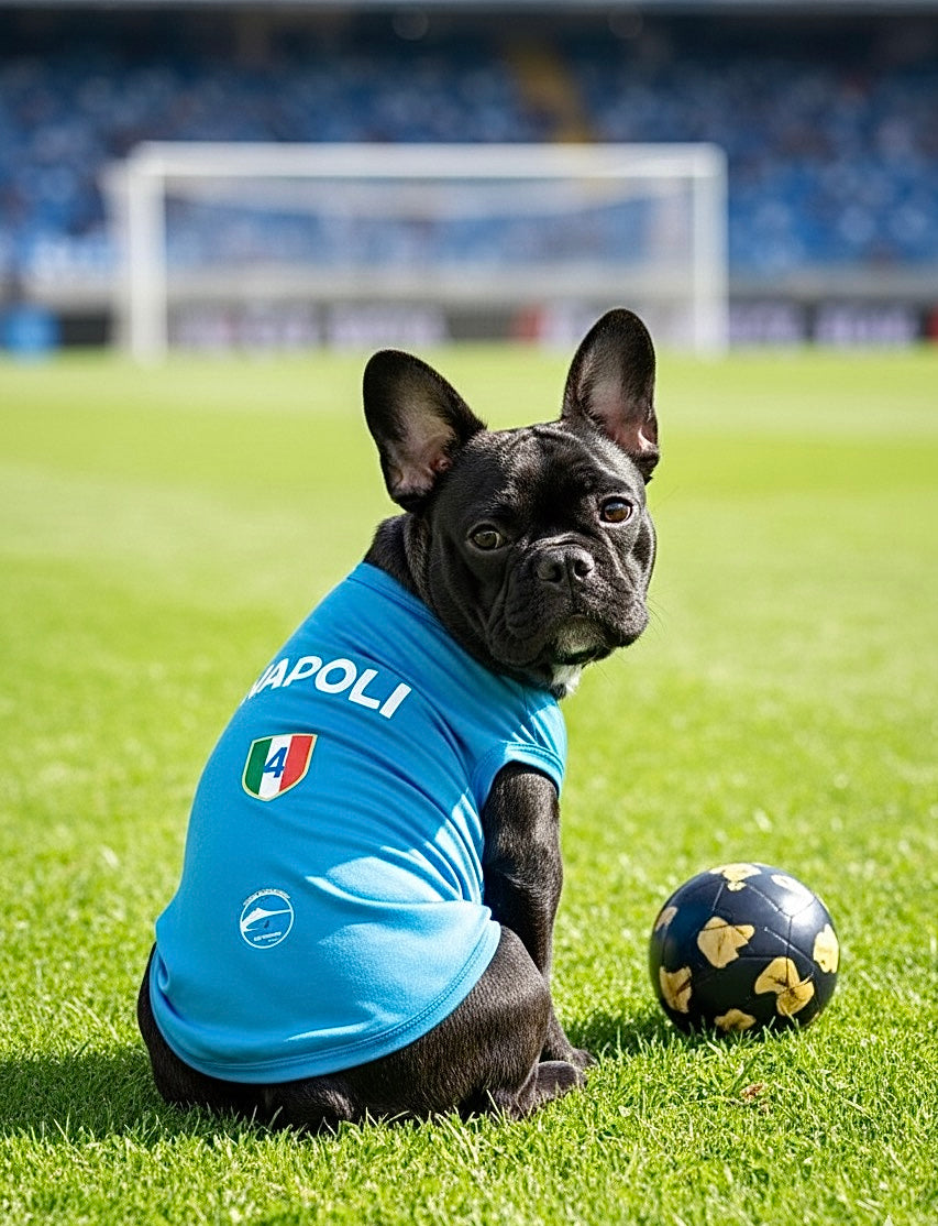 Maglia per cani " 4 Scudetto Napoli"