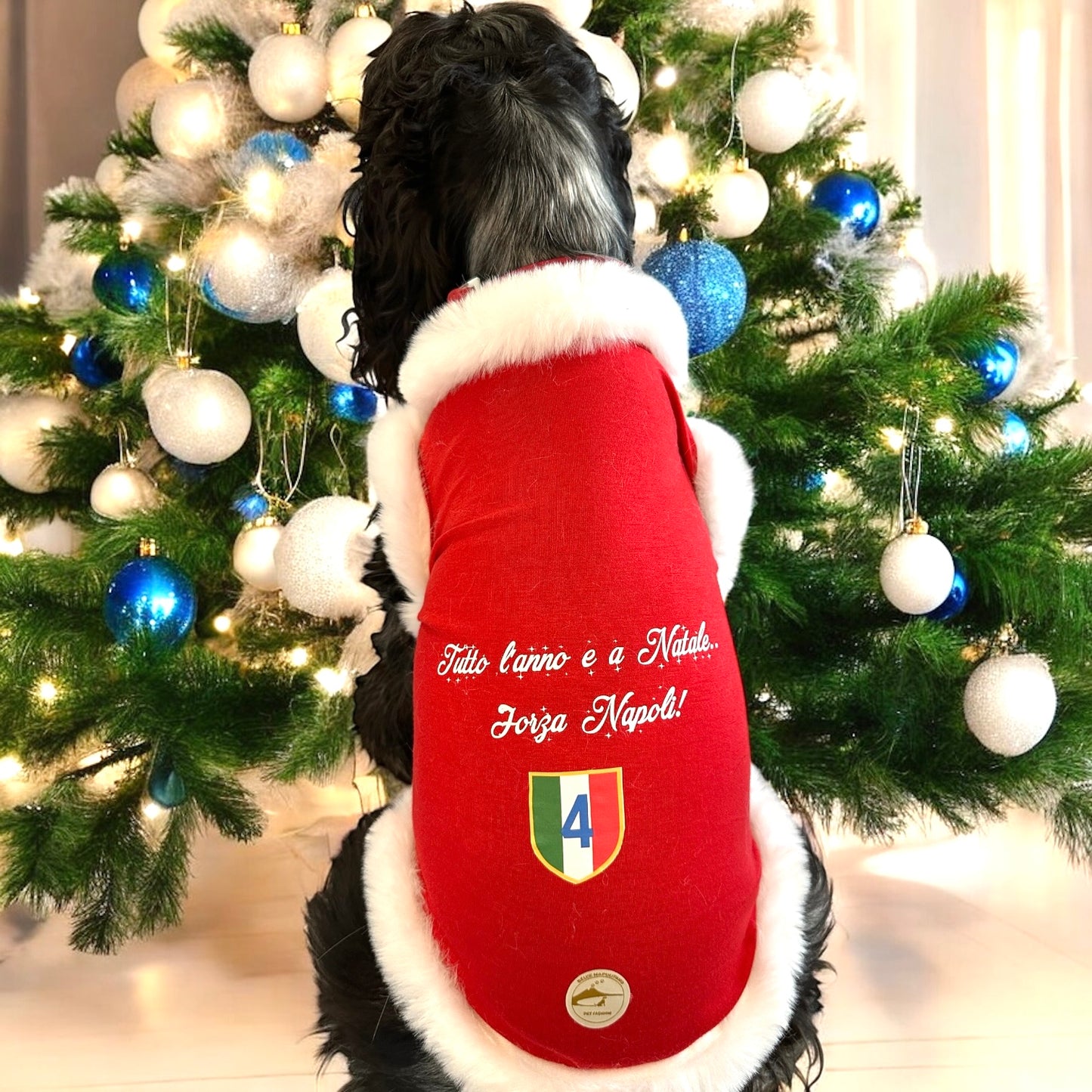 Maglia Natalizia per cani - Calcio Napoli - “Tutto l’anno e a Natale.. Forza Napoli!”