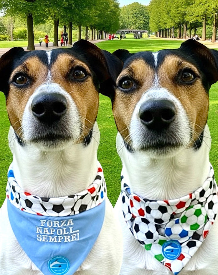 Bandana sartoriale double-face a collare per cani con scritta ricamata “Forza Napoli..Sempre!”