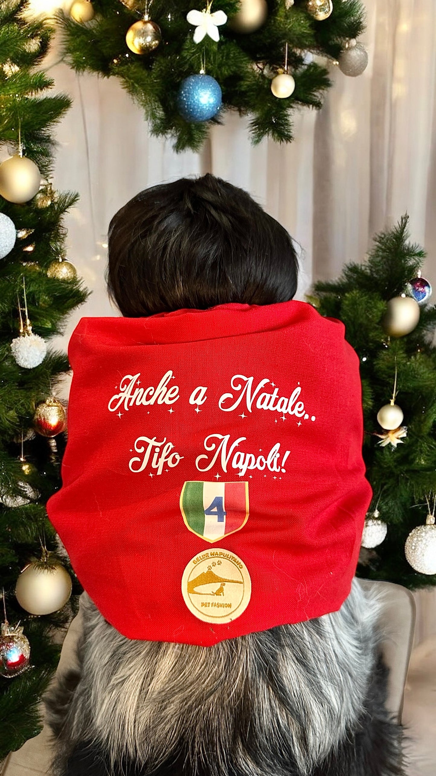 Snood natalizio per cani - Calcio Napoli - “Anche a Natale.. tifo Napoli!”