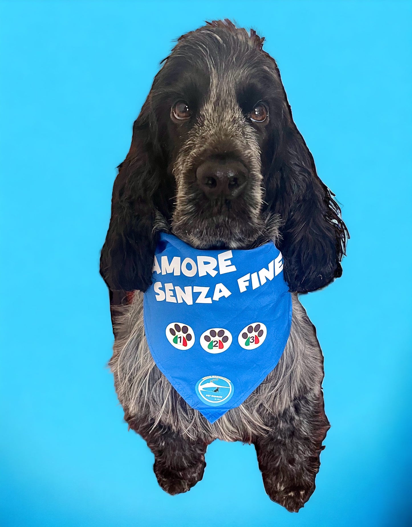 Bandane per Cani “Amore senza fine” - 100% Cotone