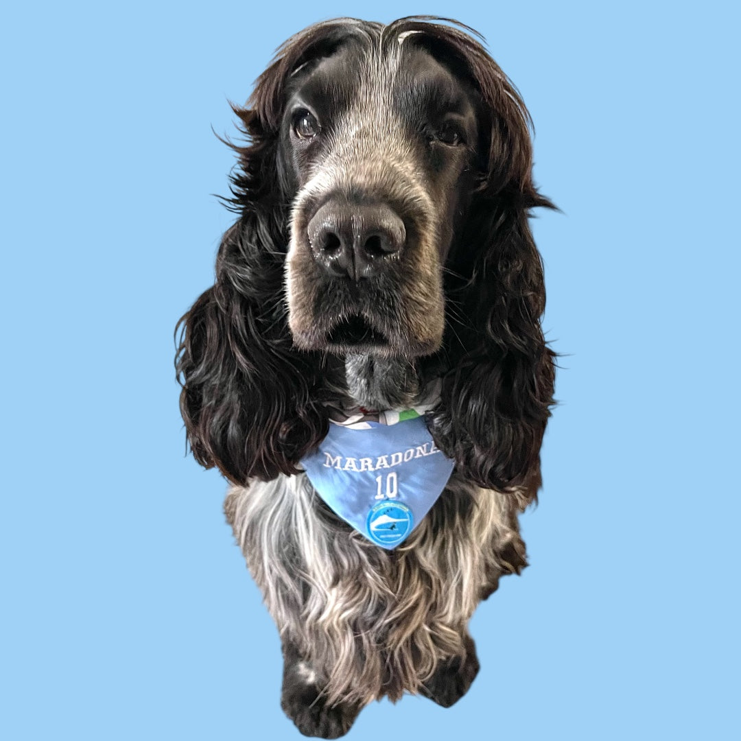 Bandana sartoriale double-face a collare per cani con scritta ricamata “Maradona 10”
