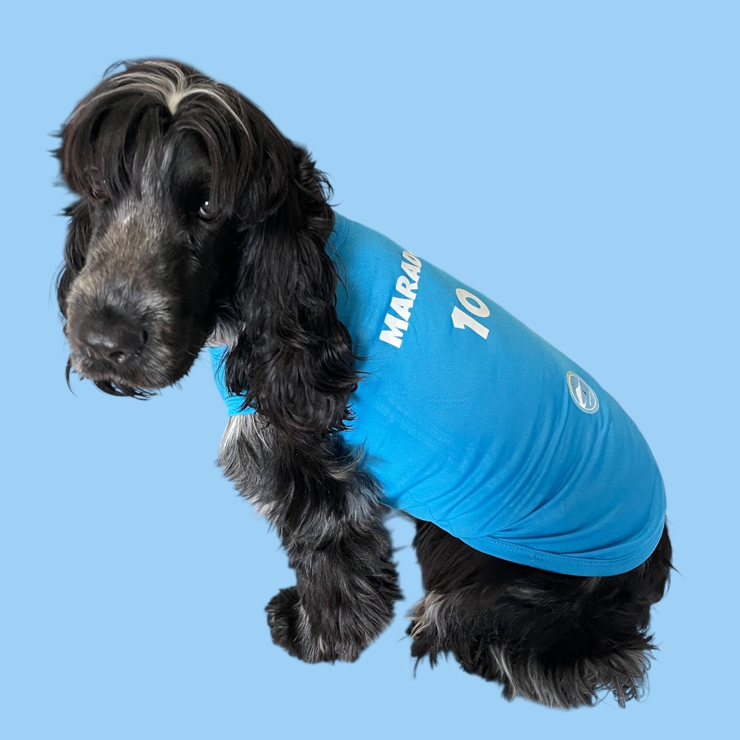 Maglietta per cani “Maradona - 10”
