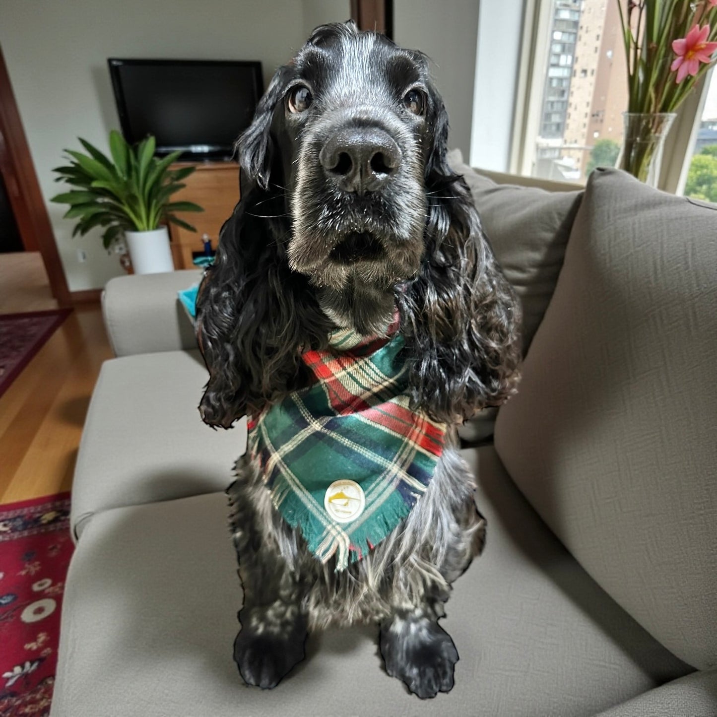 Bandana tartan per cani invernale  morbida e calda sfrangiata - (Verde-bianco-rosso)