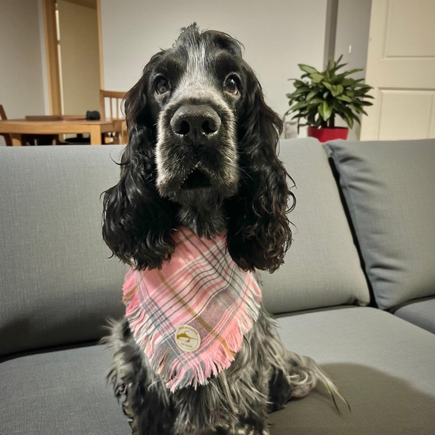 Bandana rosa sfrangiata per cani