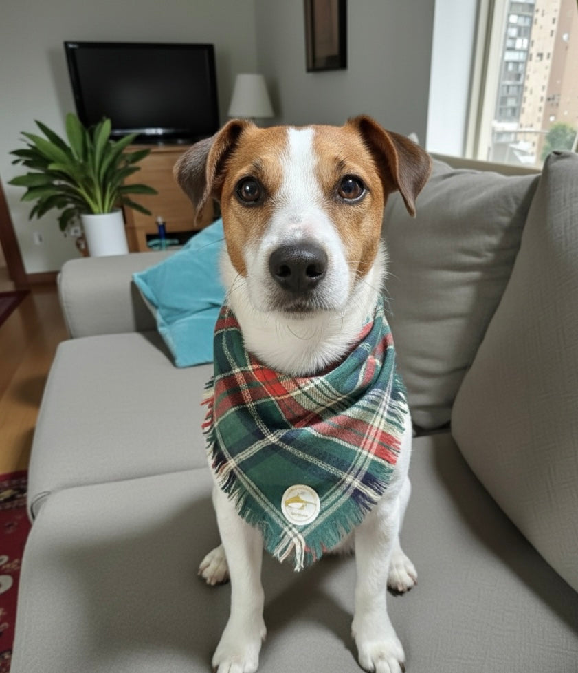 Bandana verde sfrangiata per cani