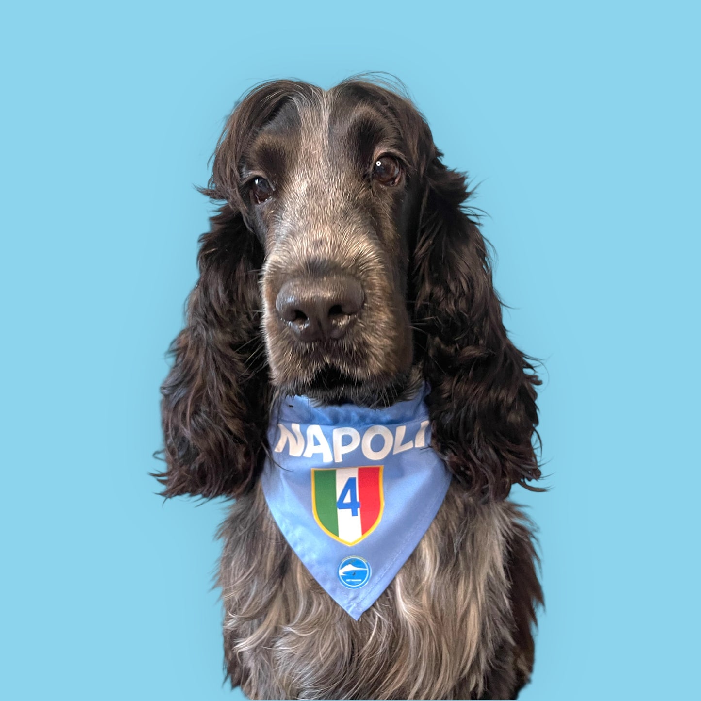 Bandane con elastico per cani "4 Scudetto Napoli"