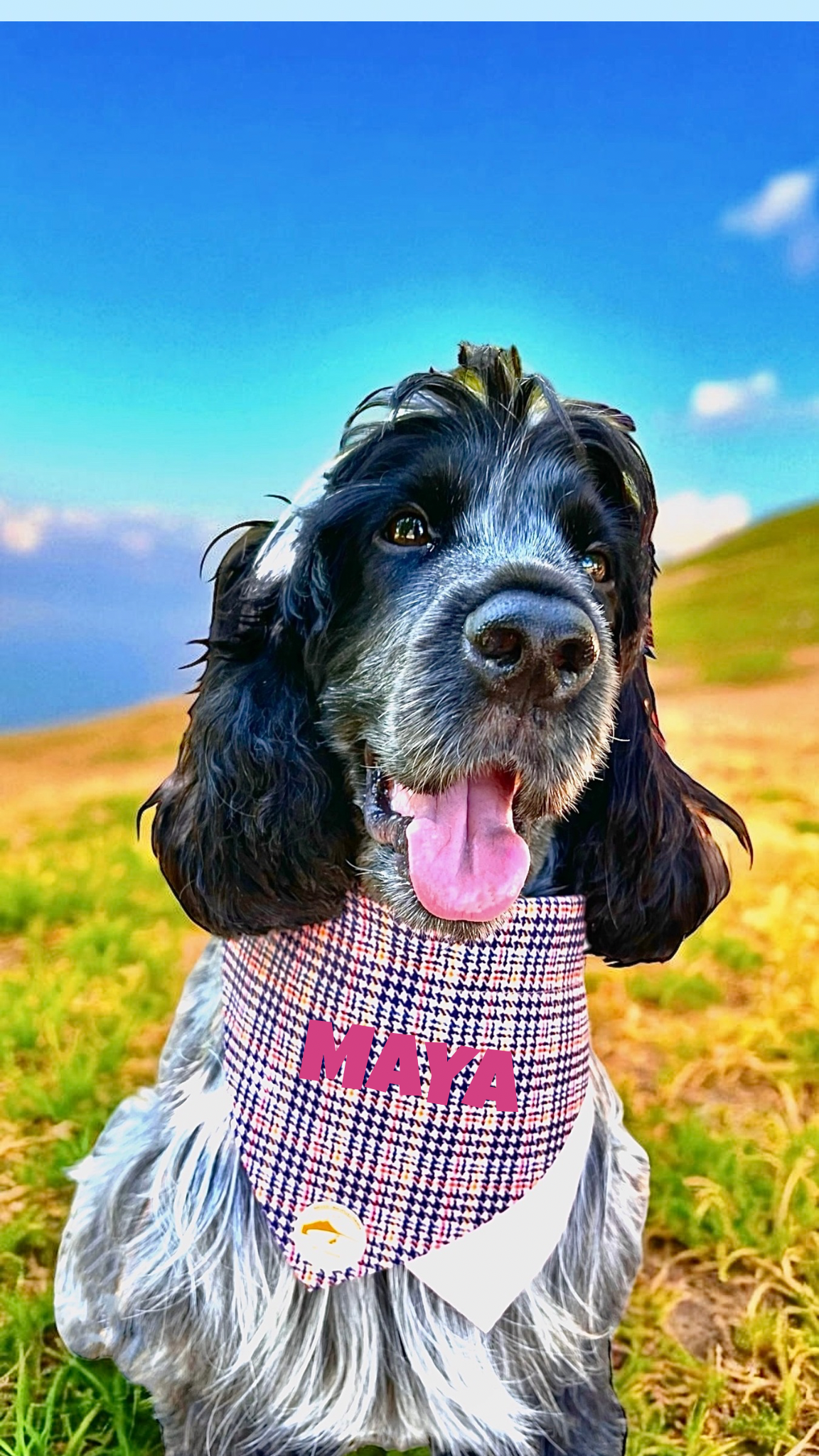 Bandana Doppia Accavallata con Collare Integrato | Salmone Righe Vivaci | Personalizzabile