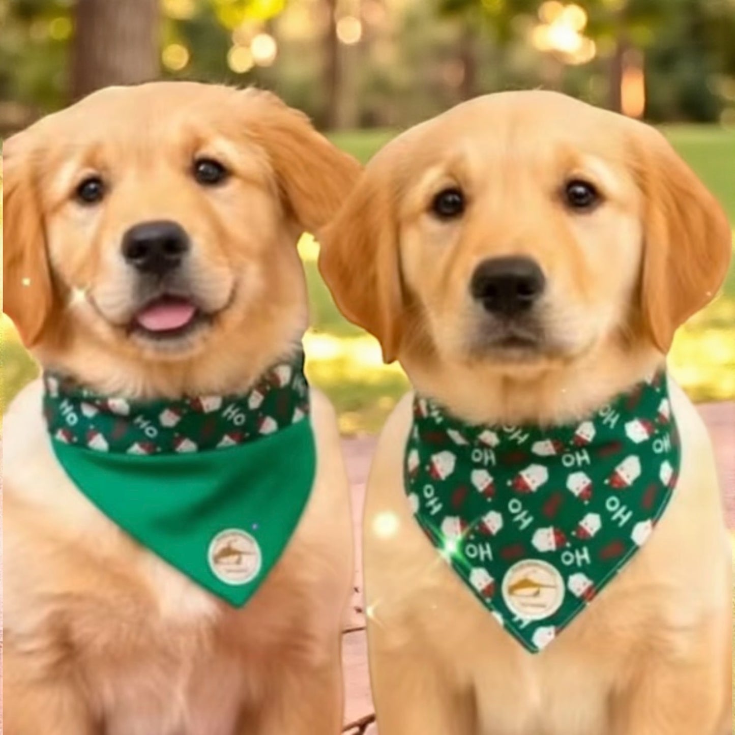 Bandana natalizia verde double-face per cani