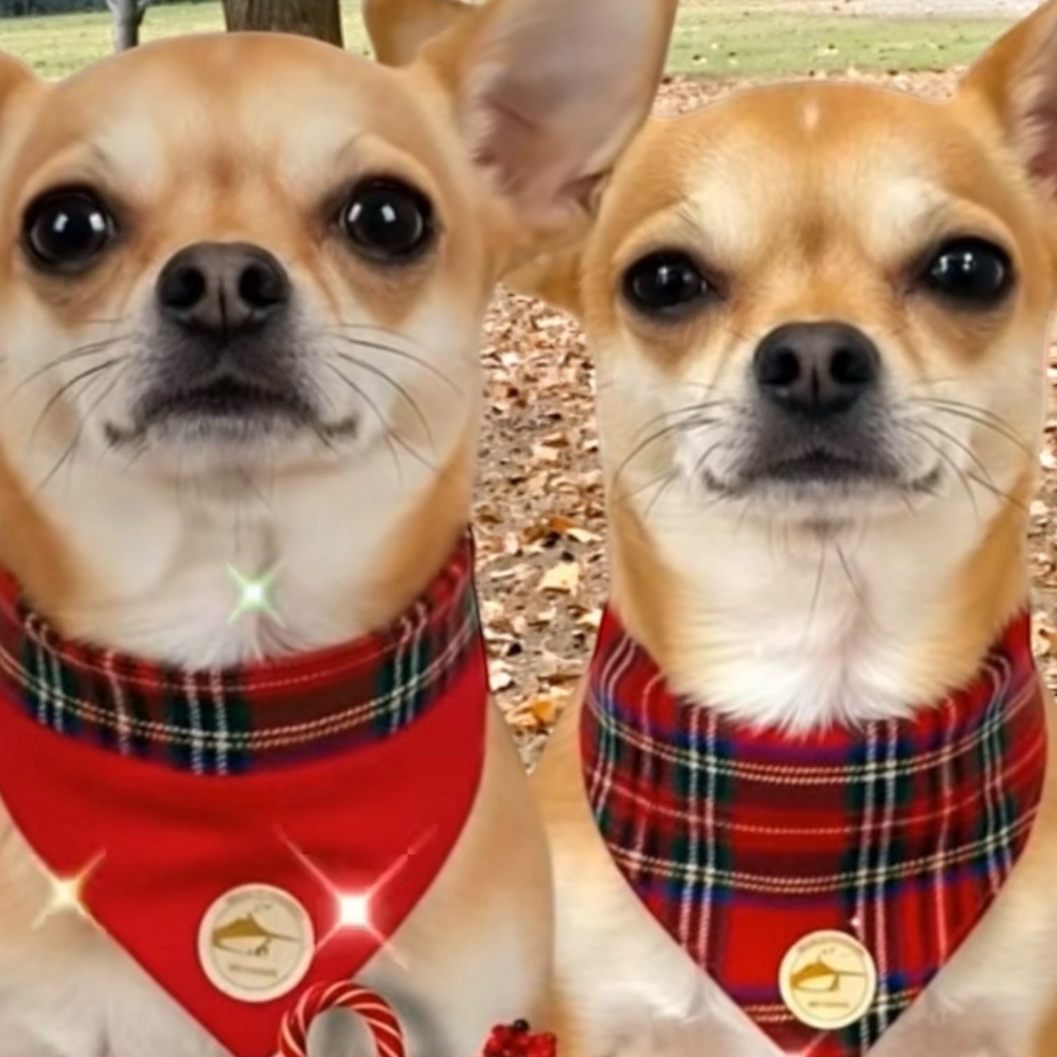 Bandana natalizia tartan rossa per cani 