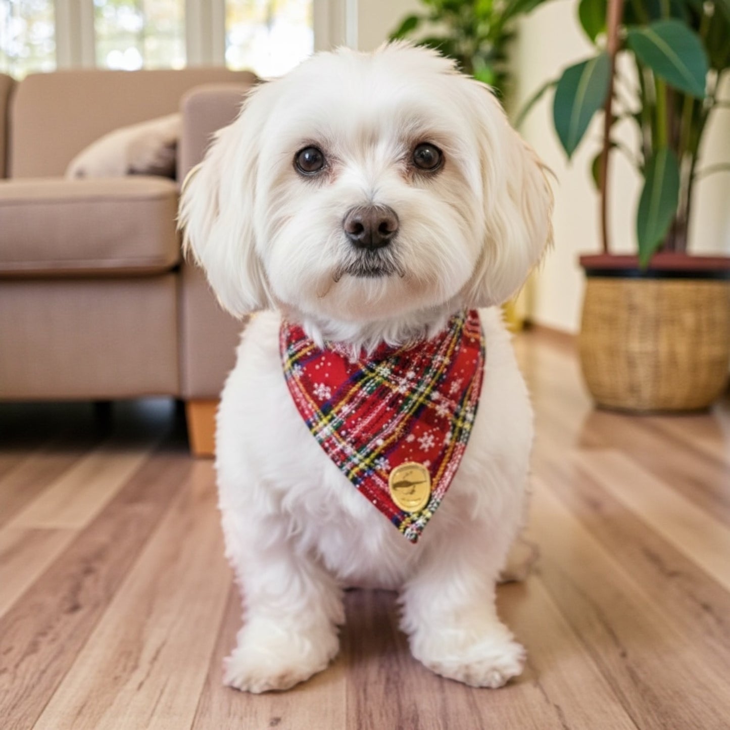 Bandana natalizia per cani