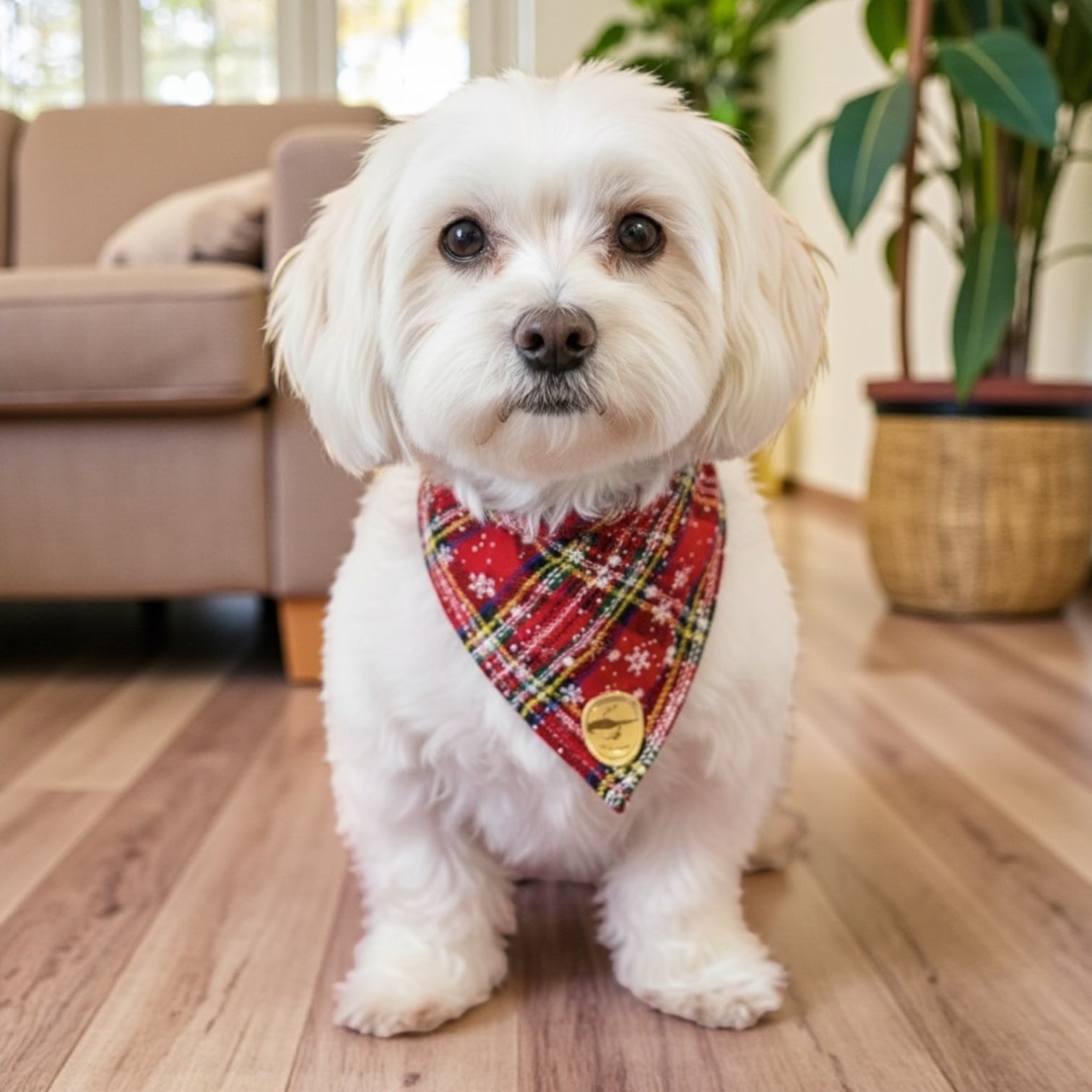 Bandana natalizia per cani