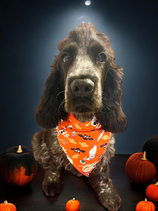 Bandana Halloween per cani arancione con fantasmini, ragni e scheletrini.