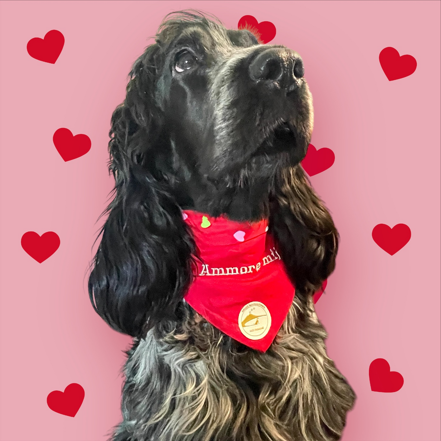 Bandana Cane "Ammore Mij" Ricamata: Sartoriale Double-Face a Collare in Puro Cotone