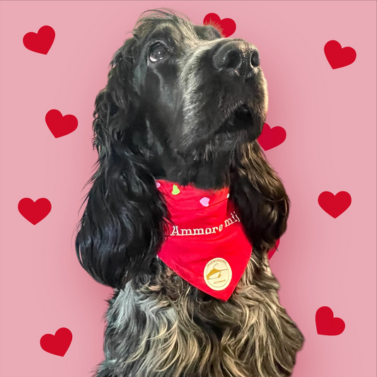 Bandana Cane "Ammore Mij" Ricamata: Sartoriale Double-Face a Collare in Puro Cotone