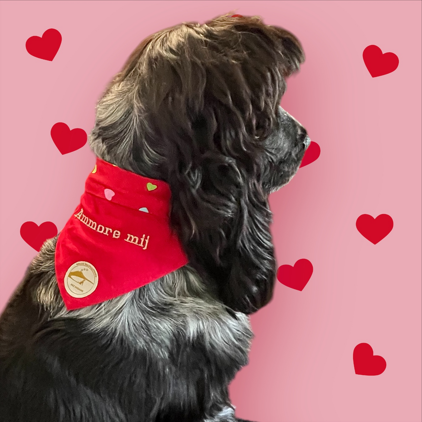 Bandana Cane "Abbracciame" Ricamata: Sartoriale Double-Face con Elastico in Puro Cotone