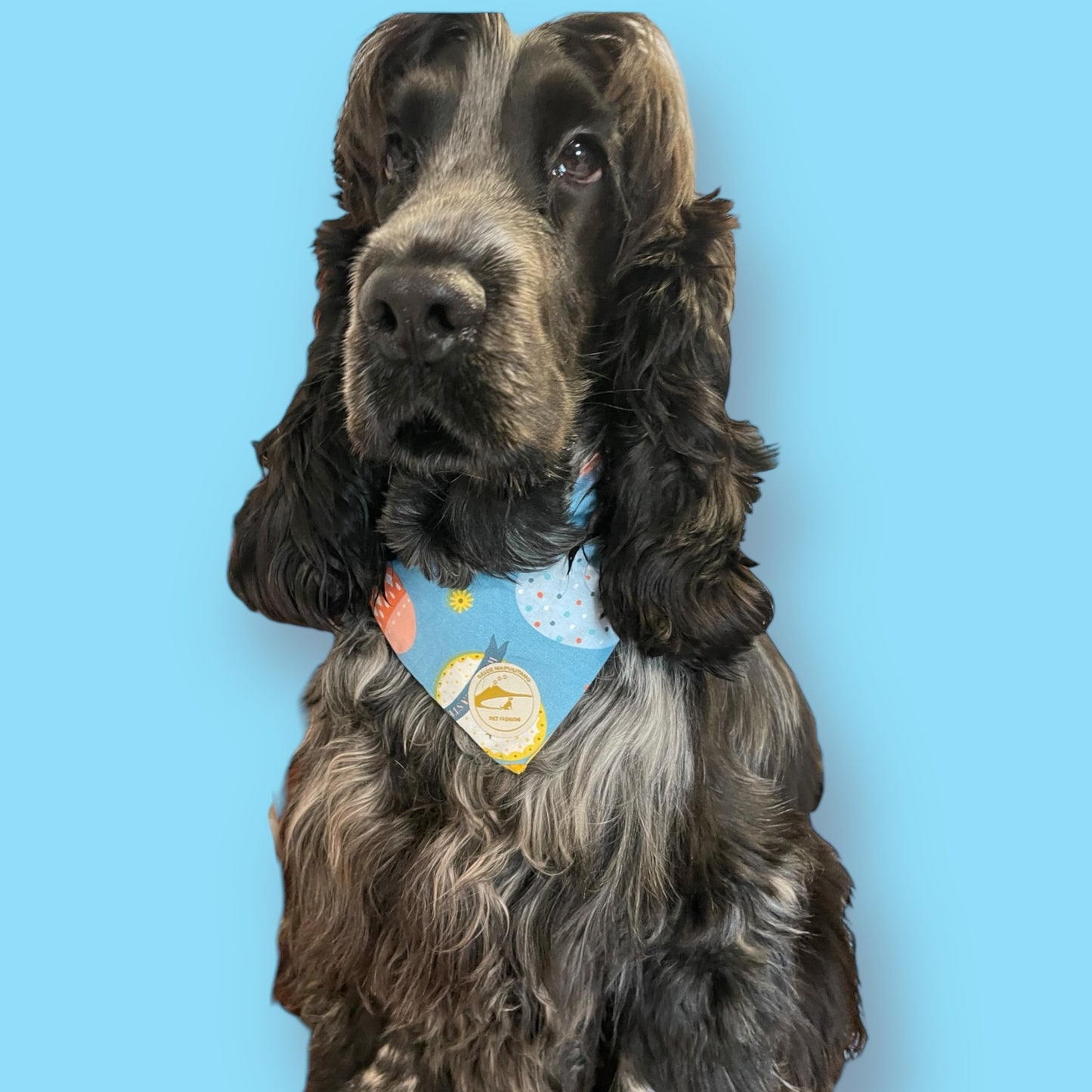 Bandana Cane Pasqua Sartoriale Double-Face: Frase Ricamata in Napoletano & Puro Cotone "UE' CUNIGL ..MO TE PIGL !" a COLLARE