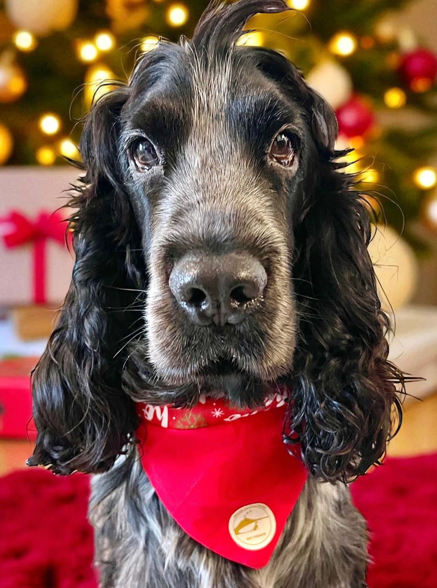 bandana natalizia per cani double face