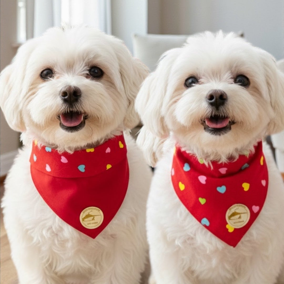 bandana per cani double-face Amore Incondizionato