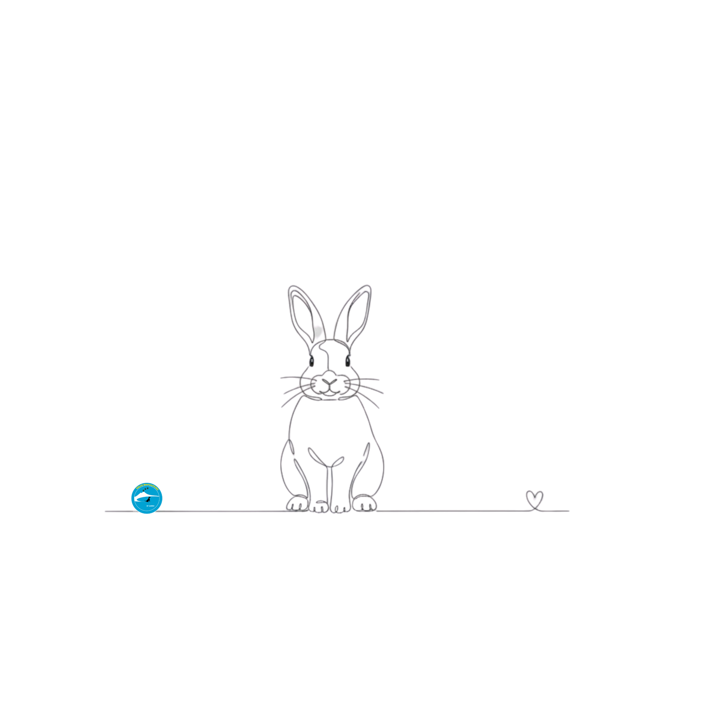 T-Shirt cotone biologico - Coniglio e cuore - Line Art
